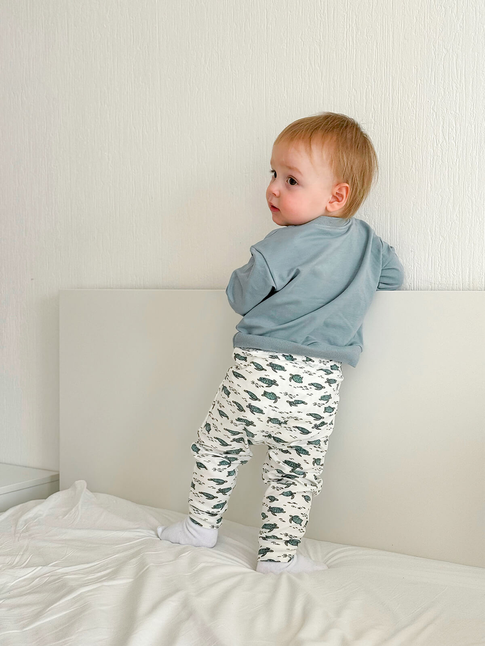 Комплект Mjölk Свитшот Baby Blue/Штанишки Черепашки
