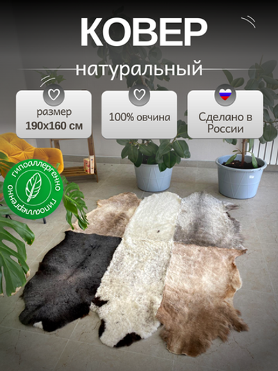 Ковер шкура натуральная овчина Меховой