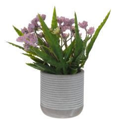 GAEM Цветочная композиция, L9 W9 H18 см, 5в.