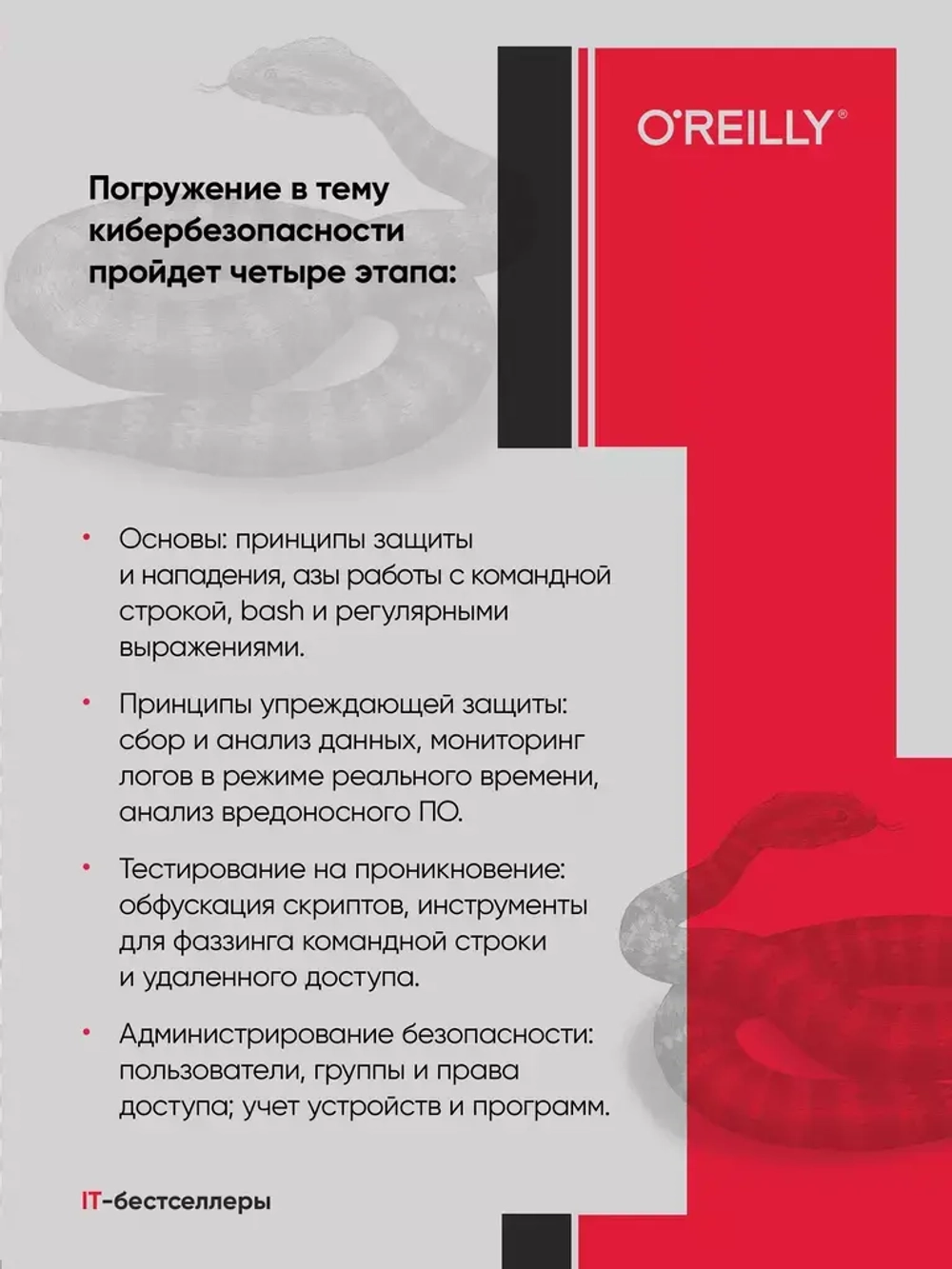 Книга: Тронкон П., Олбинг К. "Bash и кибербезопасность: атака, защита и анализ из командной строки Linux"