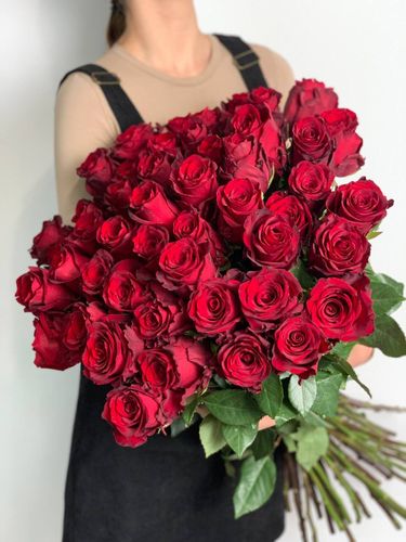 51 роза Эквадор Красная