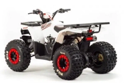 Квадроцикл Motoland 125 WILD (2020 г.)