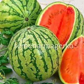 Арбуз Астраханский 10 (грамм)