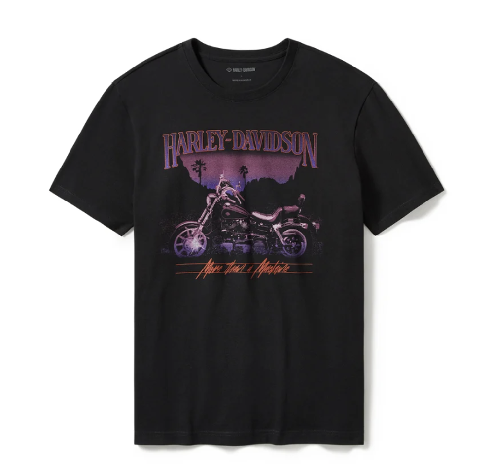 Футболка Harley-Davidson® Irkutsk