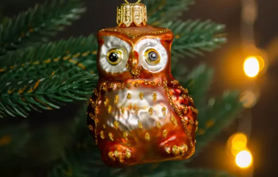 Набор Новый год к нам мчится, 2 шт., в подарочной упаковке, Витус (6292)