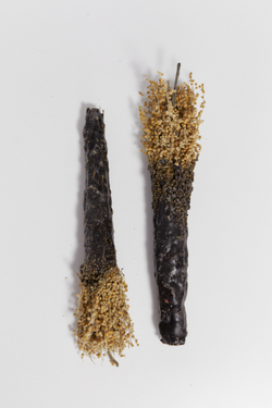 «Факел» из полыни и черного пчелиного воска