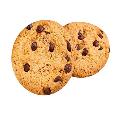 С шоколадом 1,0кг./60 суток