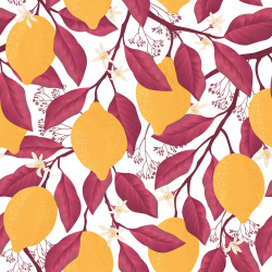 Коллекция Enjoy