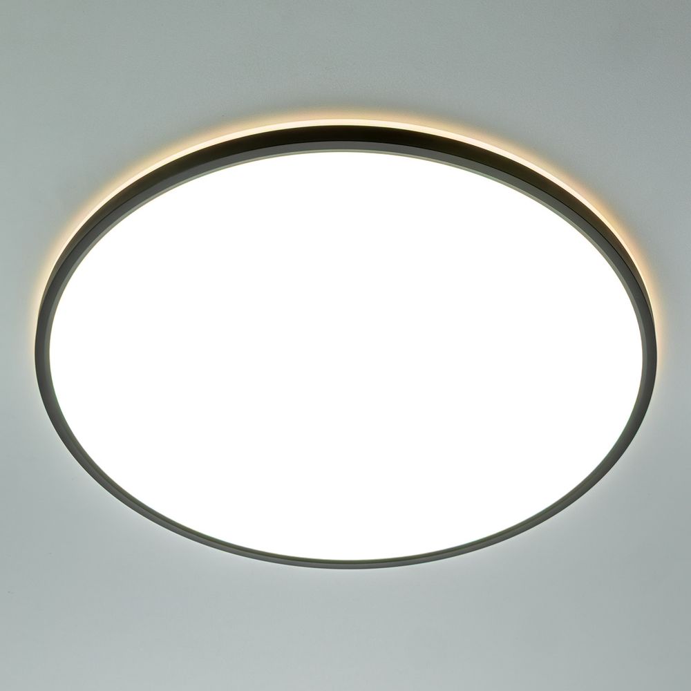 Citilux NORMA CL749501 LED RGB Светильник с пультом Чёрный