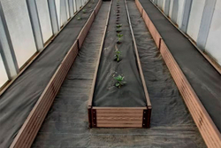 Доска грядочная Holzhof 225*30*2950мм, тиснение 3D