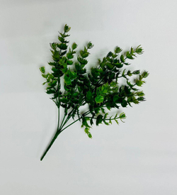 Куст колючка