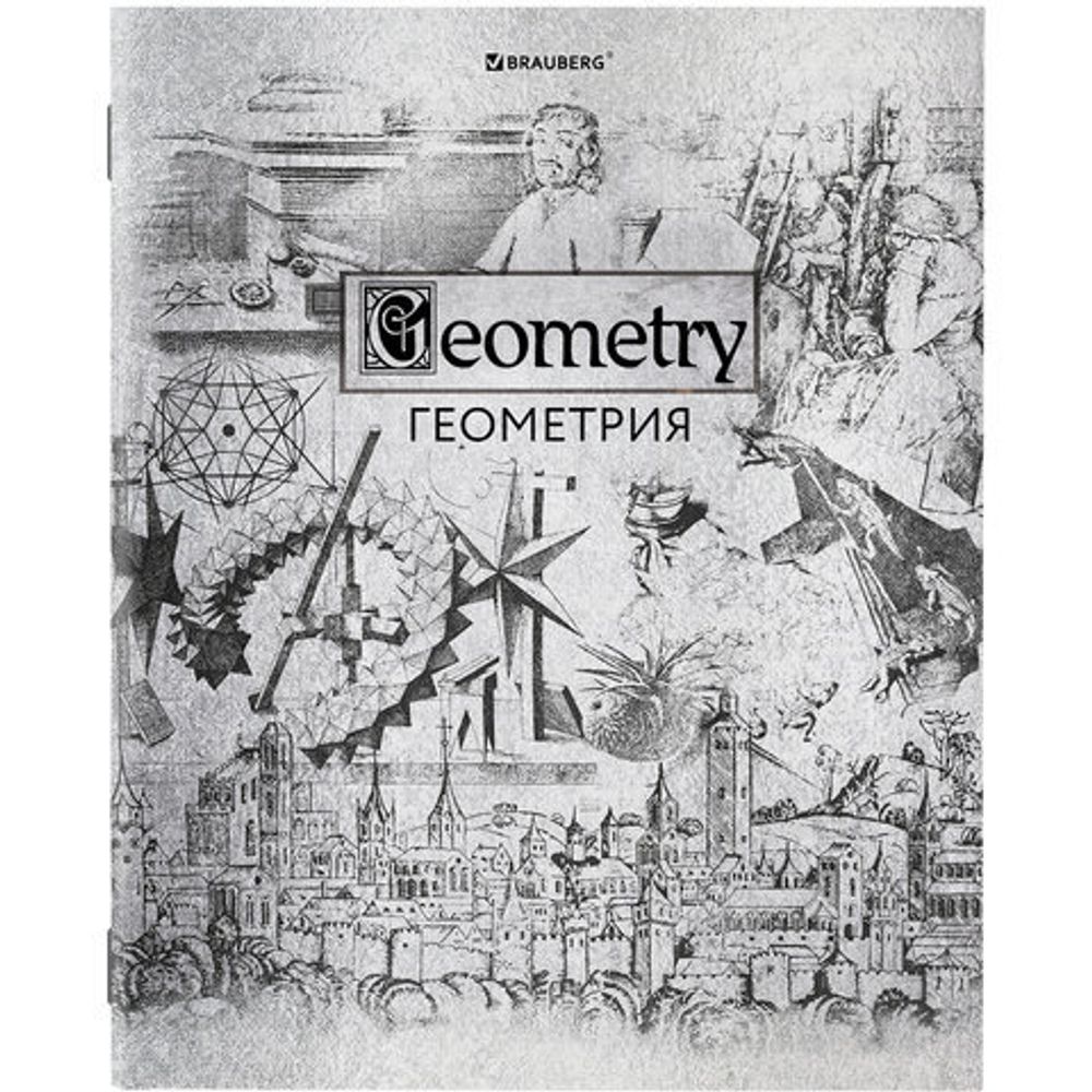 Тетради предметные, КОМПЛЕКТ 12 ПРЕДМЕТОВ, "SILVER", 48 листов, с серебряной обложкой, BRAUBERG, 404034