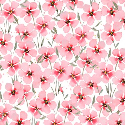 Розовые акварельные цветы на белом фоне