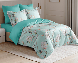 Постельное белье СайлиД BN-001 сатин