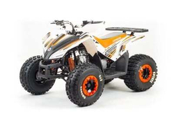 Квадроцикл MOTOLAND 125 COYOTE (2021 Г.)