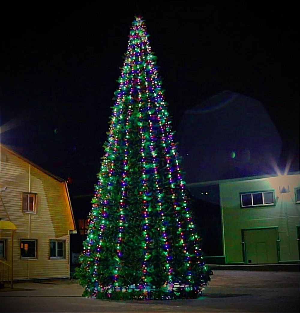 Уличная гирлянда "Динамика GT" (24В) - для елок от 3 до 18 м