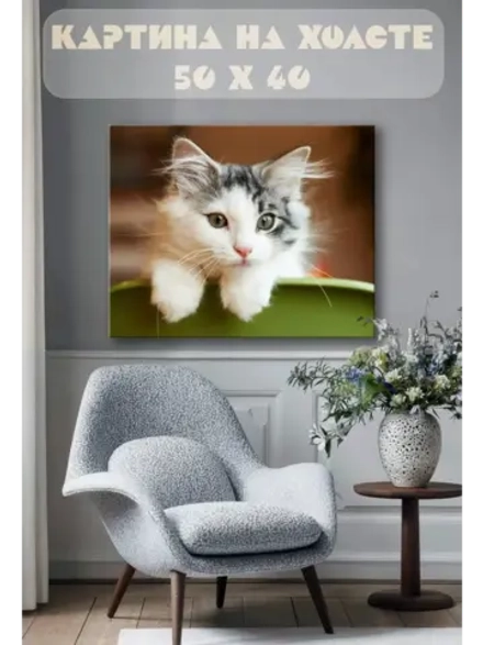 Картина на стену 40 X 50 Кот