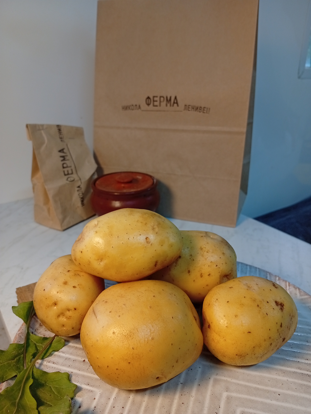 Картофель жёлтый Лисана