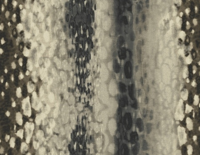 Обои Carl Robinson Edition 2 23800 CB