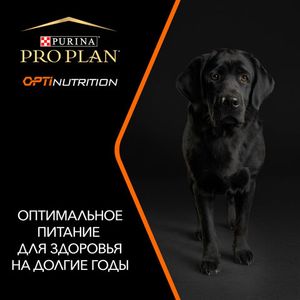 Сухой корм Pro Plan для взрослых собак крупных пород с мощным телосложением, с высоким содержанием курицы