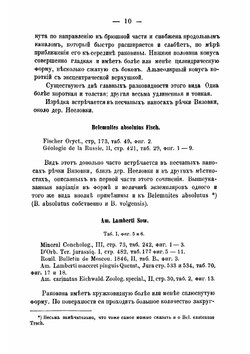 Об юрских и меловых окаменелостях Саратовской губернии | Синцов Иван Федорович