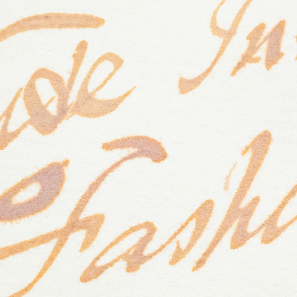 Чернила во флаконе Herbin Prestige 50 мл Nude розовый (13240JT) 6