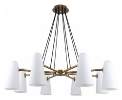 Подвесная люстра Favourite Vision 2763-8P