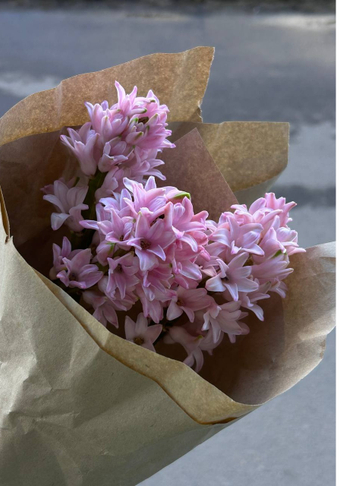 Hyacinth