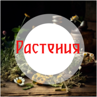 Растения