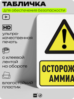 Табличка для обеспечения безопасности "Осторожно! Аммиак", для производства, предприятия, организаций, 40х30 см, Silver Plane x Айдентика Технолоджи
