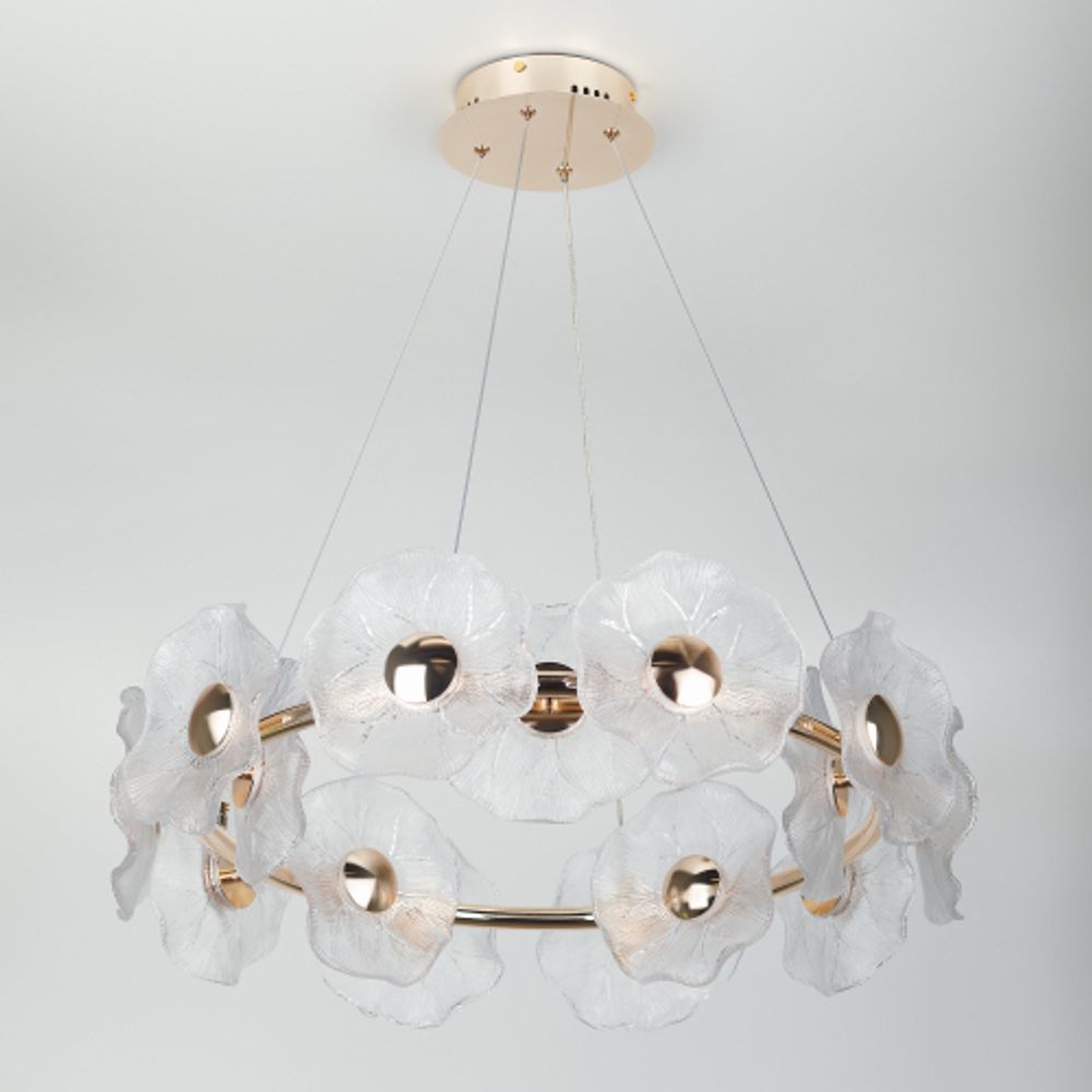 Люстра Rivoli Shannon 6135-101 светодиодная LED 30 Вт 3000 K дизайн