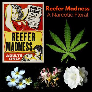 Aether Arts Perfume Reefer Madness