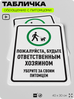 Табличка "Будьте ответственным хозяином, уберите за своим питомцем" на дверь и забор, для двора, дома, подъезда, 40х30 см, Silver Plane x Айдентика Технолоджи