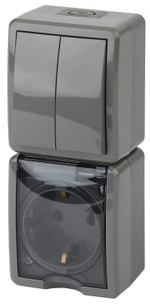 Блок розетка+выкл. двойн. верт. IP54, 16A(10AX)-250В, серый Эксперт ЭРА