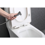 Гигиенический душ со смесителем  Raglo R01.52.09, графит