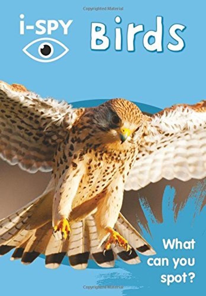 I-Spy Birds: What Can You Spot?