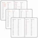 Ежедневник датированный 2025 А5 138x213 мм BRAUBERG "Rainbow", под кожу, черный, 115803