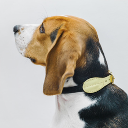 Ошейник «Пони-макарони» HuntingPony