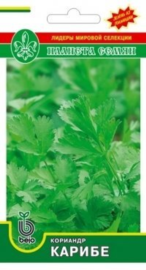 Кориандр Карибе