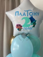 Воздушные шары Тролли №8713