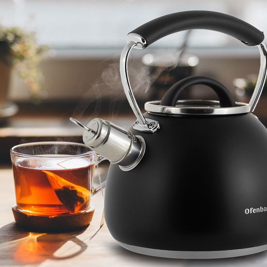 Чайник 2,5 л. из нержавеющей стали со свистком Ofenbach NB 100311
