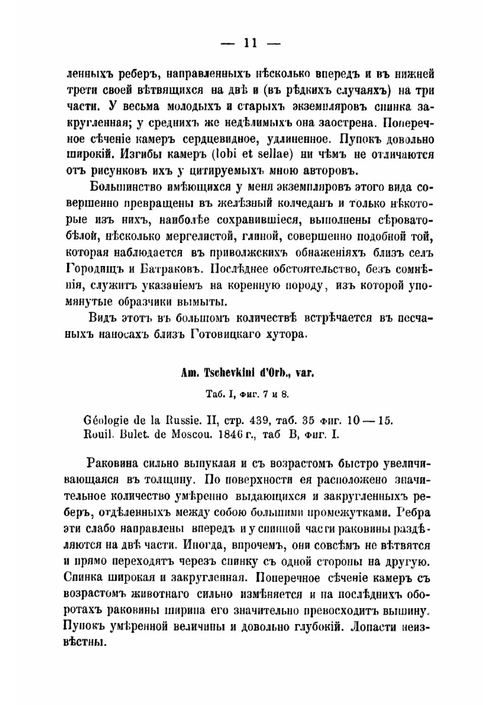 Об юрских и меловых окаменелостях Саратовской губернии | Синцов Иван Федорович