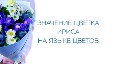 Значение цветка ириса на языке цветов