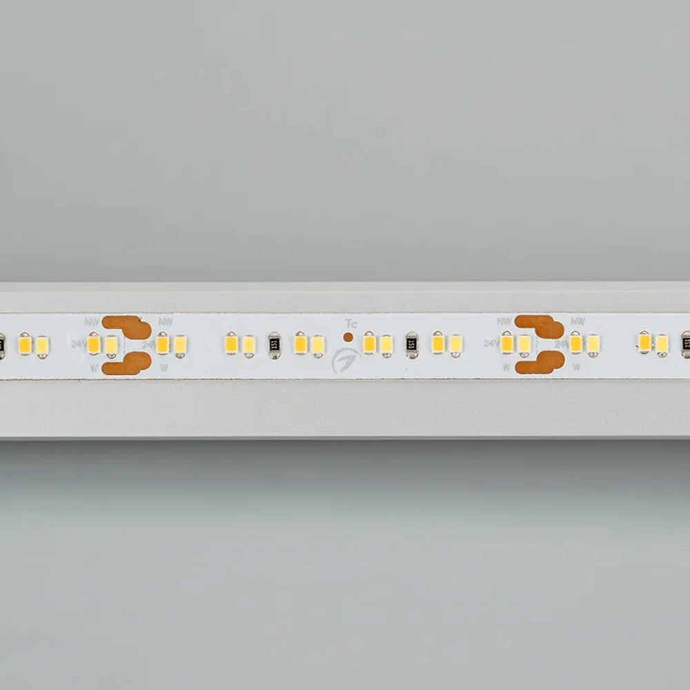 Светодиодная лента MICROLED-5000 24V White-CDW 8mm (2216, 240 LED/m, Bipolar) (Arlight, 9.6 Вт/м, IP20) 024507