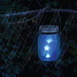 Светильник уличный ЭРА SL-GL14-JAR-3 на солнечной батарее стекло металл прозрачный 13,5 см | Садовые декоративные светильники