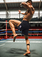 Шорты спортивные тренировочные Bad Boy World Muay Thai черный