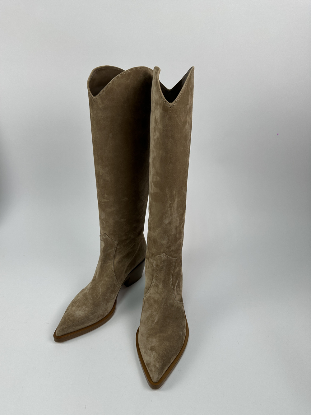 Сапоги Gianvito Rossi