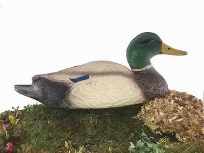 Чучело селезеня "Кряква" стандарт