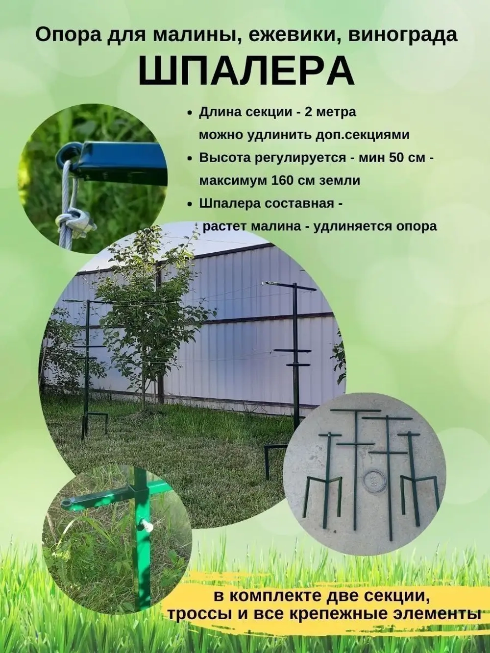 Шпалера для малины и винограда