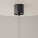 Подвесной светильник Maytoni P100PL-20W4K-B